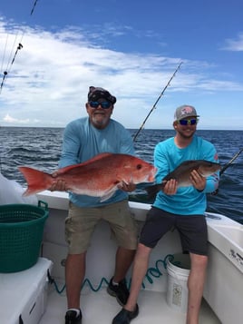 Orange Beach Trolling Adventure