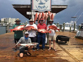 Orange Beach Trolling Adventure