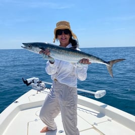 Nearshore Kingfish Special