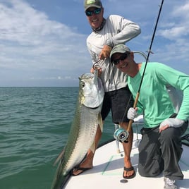 Tarpon and Shark Action