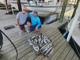 Exploring the Louisiana Marsh