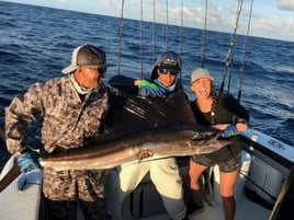 Sailfish Fishing in Miami Beach, Florida