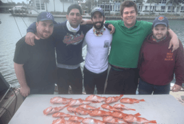 Deep Sea Deep Dropping