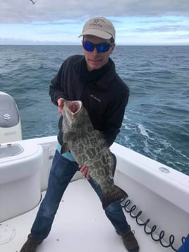 Black Grouper Fishing in Marathon, Florida