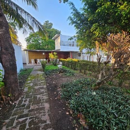 Tabasco Snook & Tarpon Special