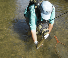 On Water Fly Fishing Lessons