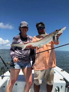 Evening Shark and Tarpon Trip