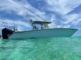 Chasing Deep Water Giants