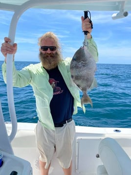 Orange Beach Bottom Fishing