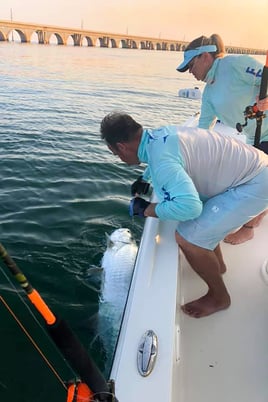 Chasing Tarpon