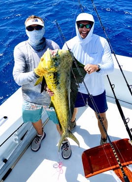 Gulf Stream Deep Run