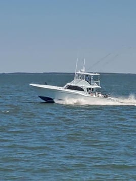 Yellowfin & Mahi Mahi Combo