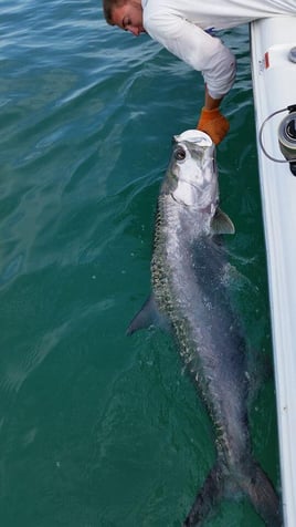 Tarpon Fishing in Placida, Florida