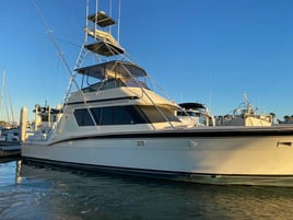 Luxury Offshore Fishing Trip - 55' Hatteras