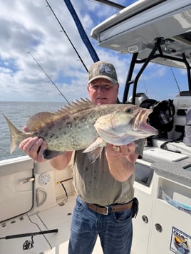 Tarpon Springs Intercoastal Trip
