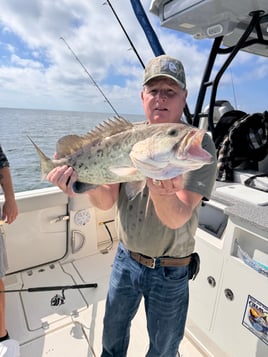 Tarpon Springs Intercoastal Trip