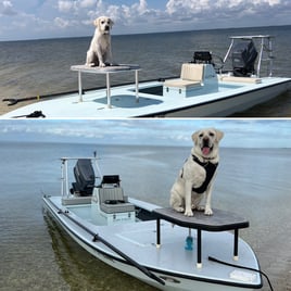 "Big Bend" Sight Fishing