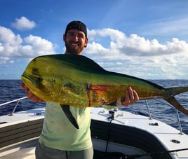 Mahi Mahi Fishing in Riviera Beach, Florida