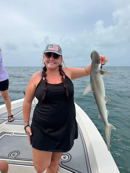 Key Largo Inshore Sharks and more