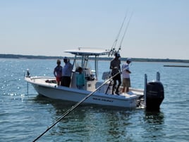 Striper Fishing Lake Whitney