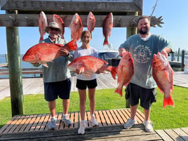 4 hour Snapper Trip