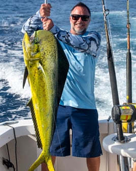 Roosterfish, Grouper, Snapper