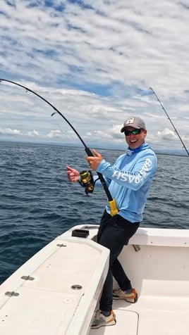 Roosterfish, Grouper, Snapper