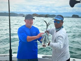 Inshore Roosterfish Special