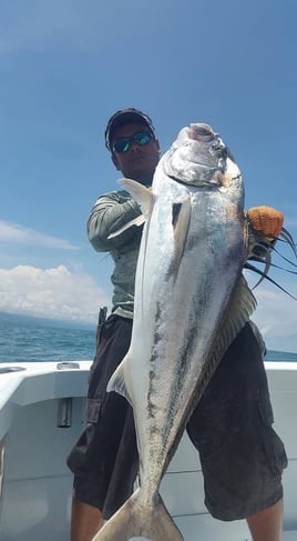 Inshore Roosterfish Special