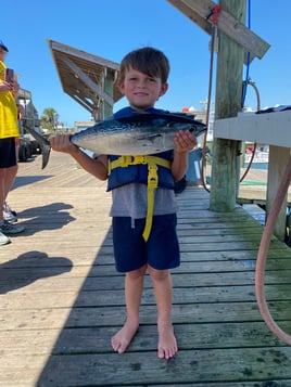 False Albacore Fishing in Gulf Shores, Alabama