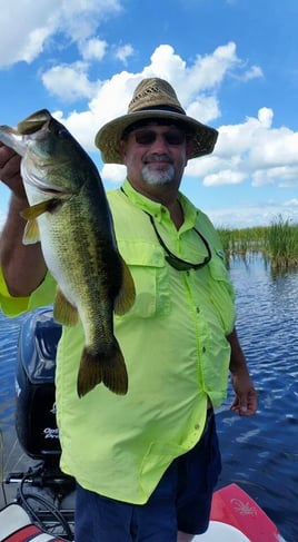 Largemouth Bass Fishing in Fort Lauderdale, Florida