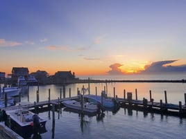 Offshore Fishing Trip