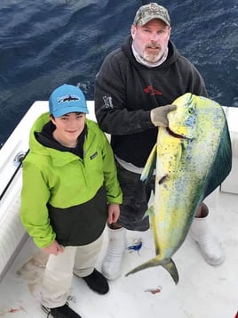 Mahi Mahi Fishing in Pompano Beach, Florida
