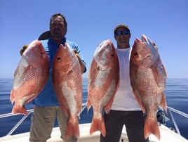 Red Snapper Fishing in Galveston, Texas