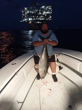 Near shore/Deep Sea Charters: 36' Contender boat