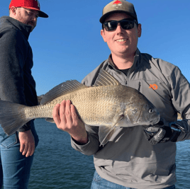 Black Drum Fishing in Corpus Christi, Texas