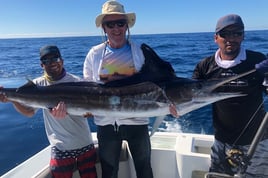 Cabo Full-Day or Half-Day