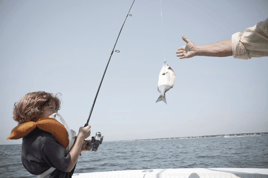 Old-School Classic Trip