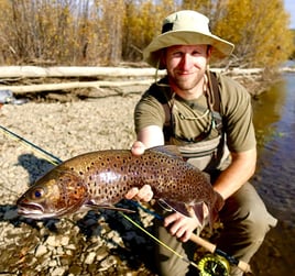 Trophy Trout Special