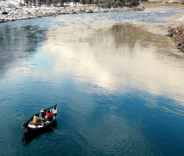 Steelhead Fishing - Salmon River, Idaho