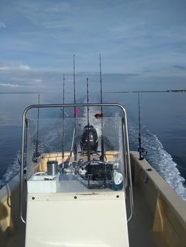 NC Full Day Trip