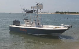 Inshore/Nearshore Trip - 22' Bay Boat