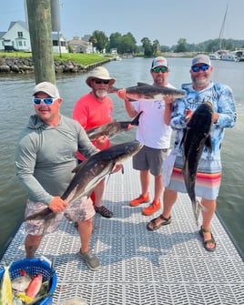 Inshore/Nearshore Trip - 30' Contender