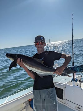 Cobia Fishing in Virginia Beach, Virginia