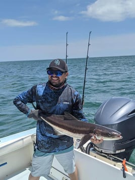 Cobia Fishing in Virginia Beach, Virginia