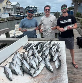 NC Inshore/Nearshore Combo