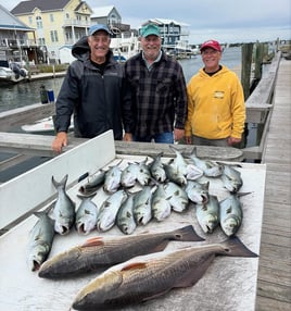 NC Inshore/Nearshore Combo
