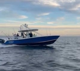 Swordfish Trip - 30' Dusky
