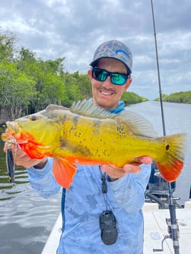 Peacock Bass Fishing in Fort Lauderdale, Florida
