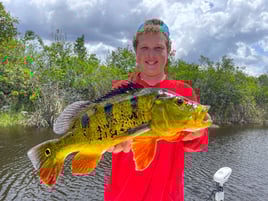 Peacock Bass Fishing in Fort Lauderdale, Florida